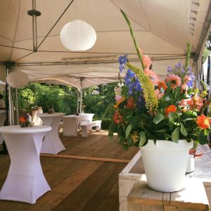 import placeholder for 455