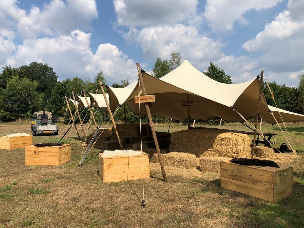 import placeholder for 2055 import placeholder for 2055