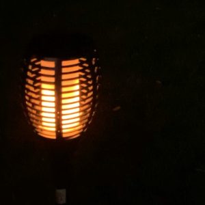 import placeholder for 2534